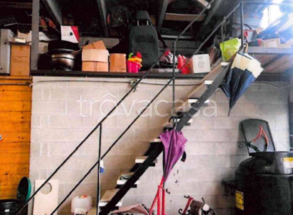 immagine annuncio 6 di 14