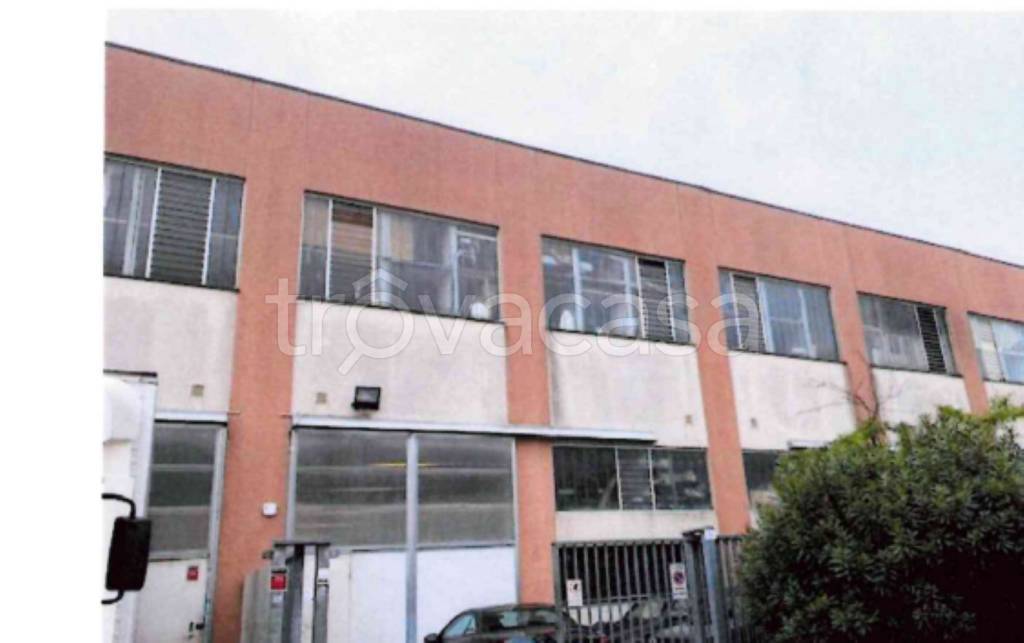 immagine annuncio 2 di 13