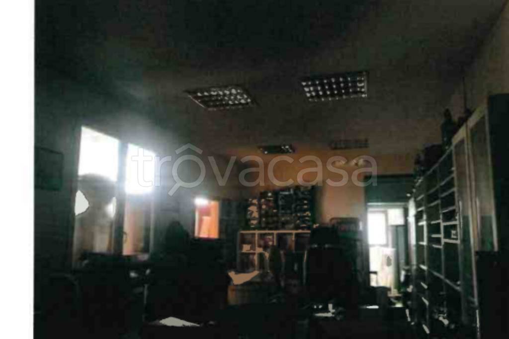 immagine annuncio 12 di 13