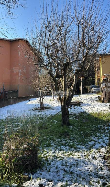 immagine annuncio 6 di 8