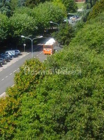 immagine annuncio 5 di 15