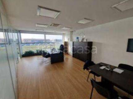 immagine annuncio 2 di 12