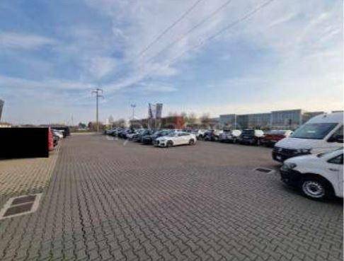 immagine annuncio 4 di 12