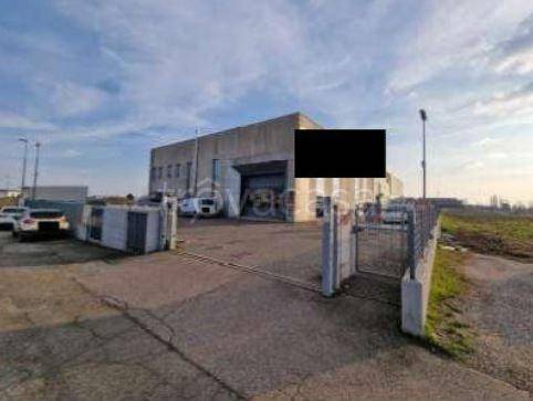 immagine annuncio 5 di 12