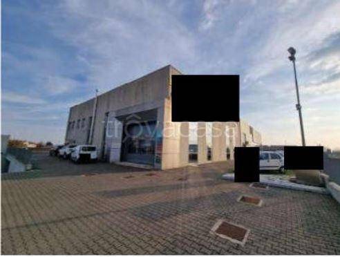 immagine annuncio 6 di 12