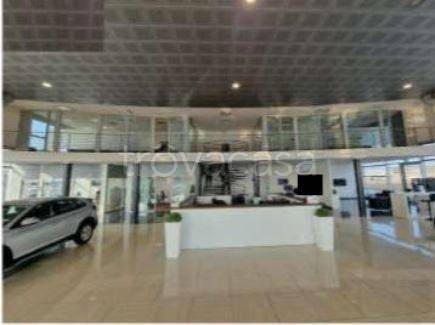 immagine annuncio 9 di 12