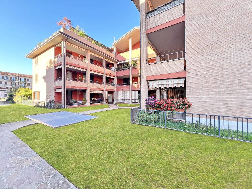 immagine annuncio 7 di 15