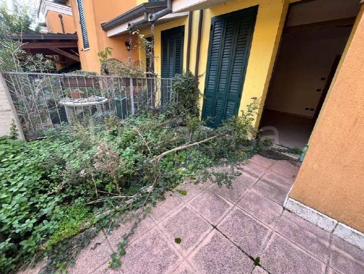 immagine annuncio 6 di 15