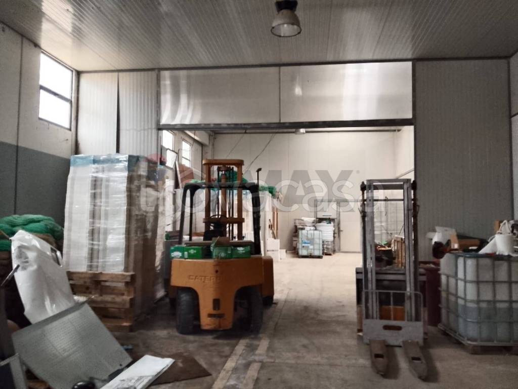 immagine annuncio 1 di 8