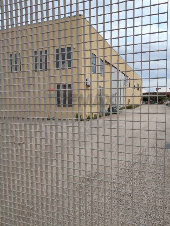 immagine annuncio 3 di 8