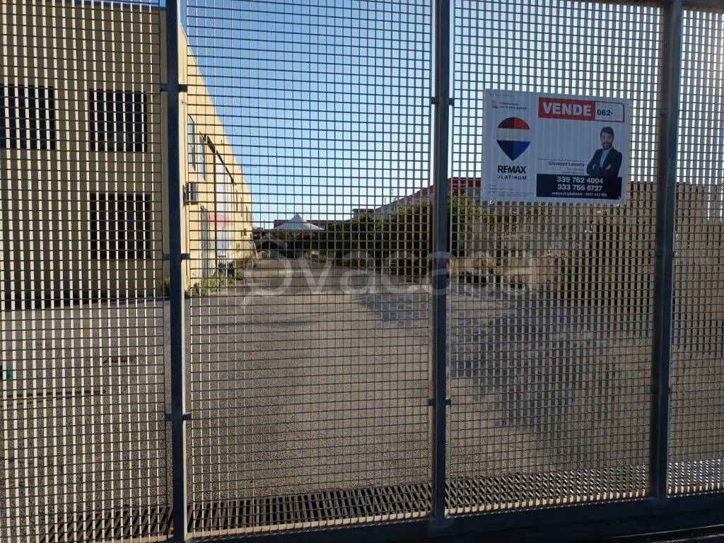 immagine annuncio 5 di 8