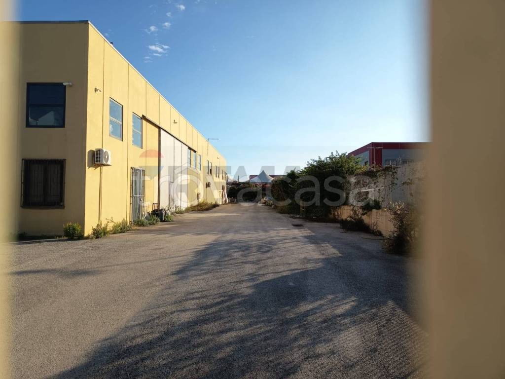 immagine annuncio 6 di 8