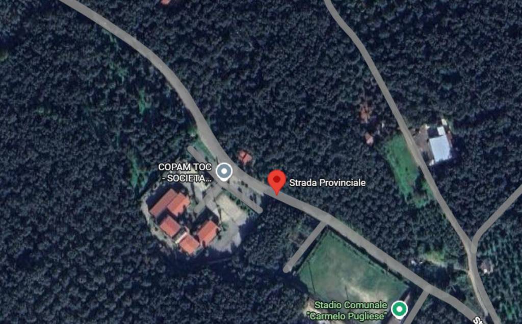 immagine annuncio 14 di 15