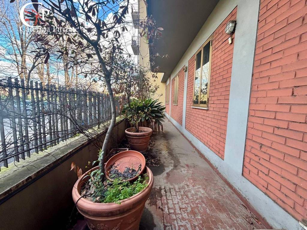 immagine annuncio 5 di 13