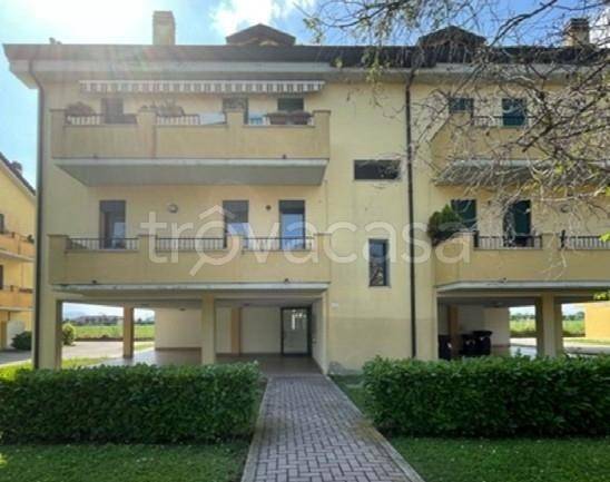 appartamento in vendita a Padova in zona Torre