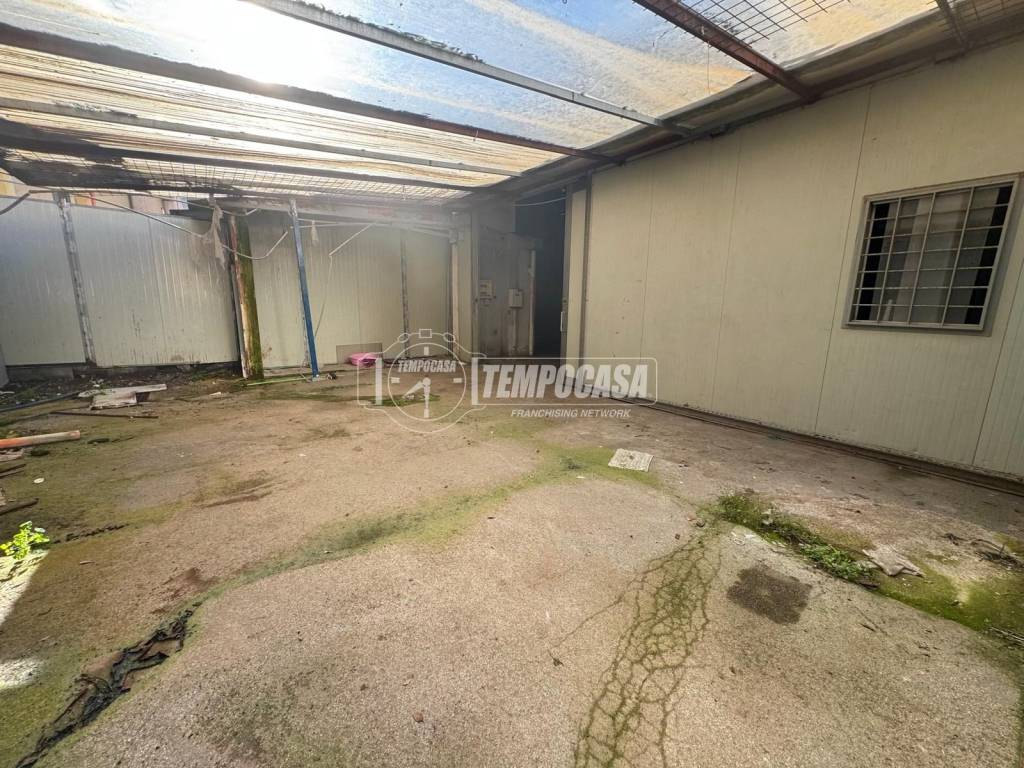 immagine annuncio 2 di 13