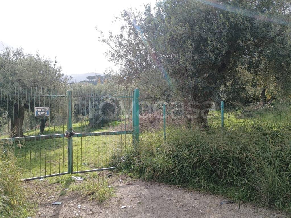 immagine annuncio 1 di 4