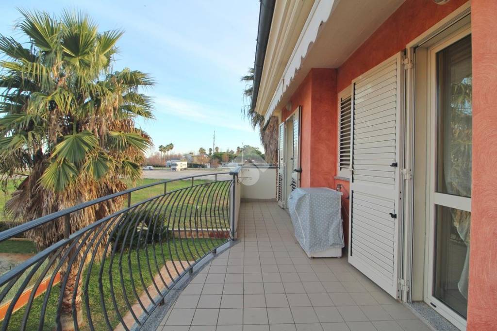 immagine annuncio 9 di 12