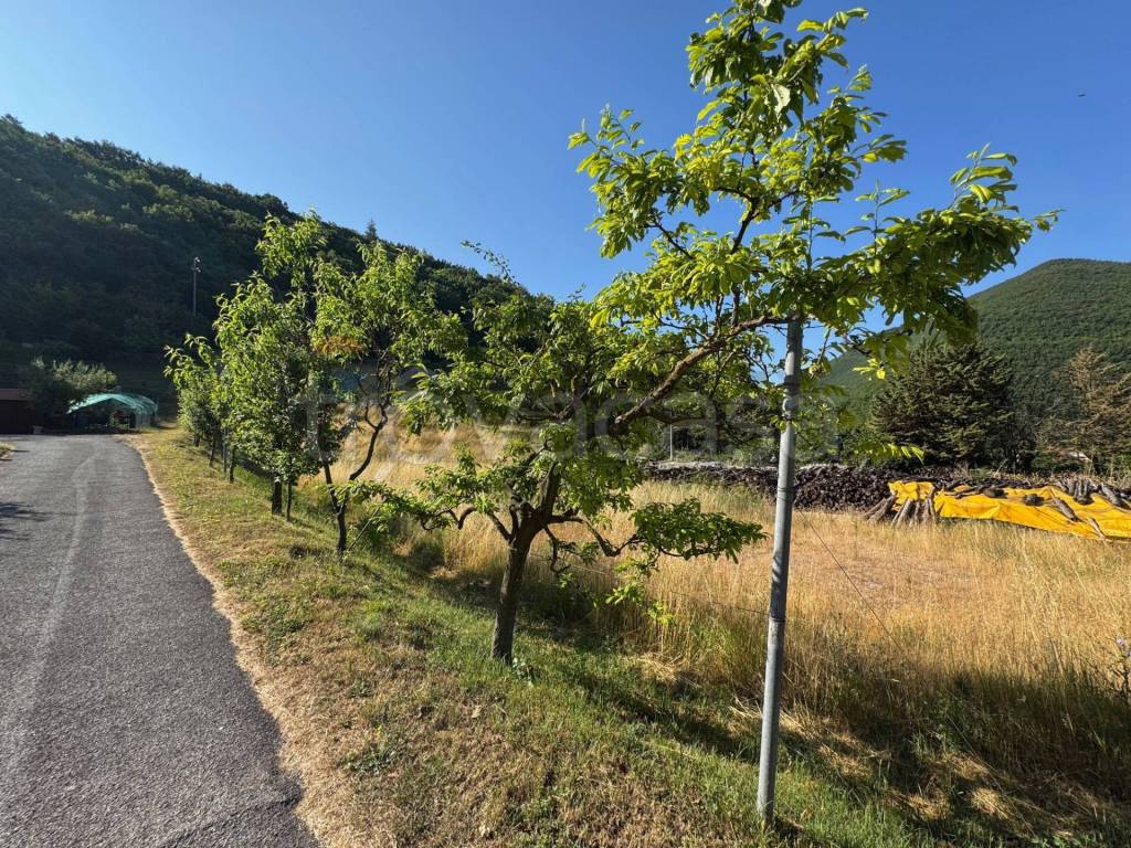 immagine annuncio 5 di 14
