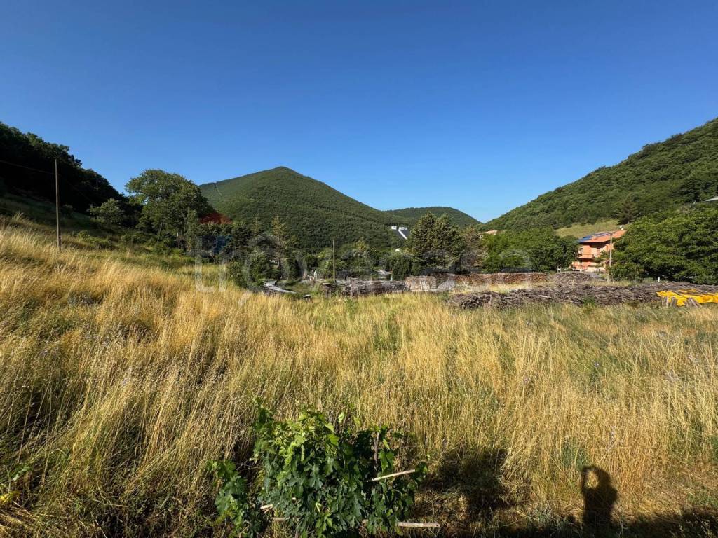 immagine annuncio 7 di 14