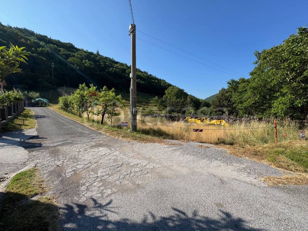 immagine annuncio 9 di 14