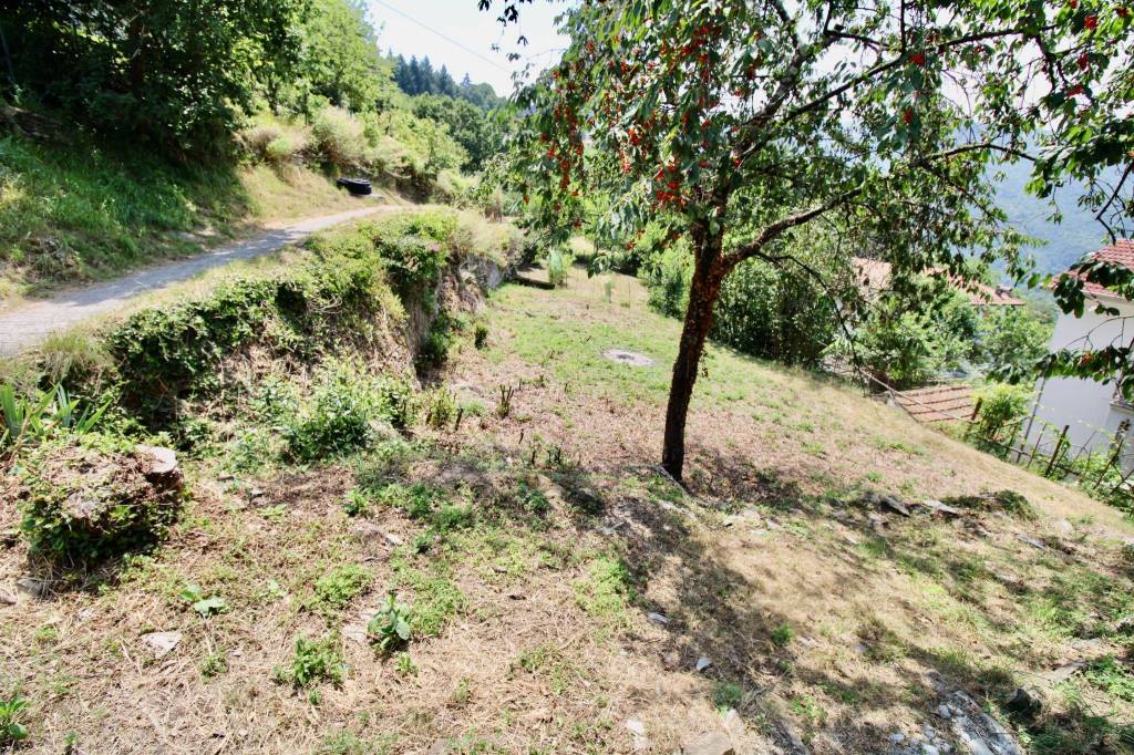 immagine annuncio 5 di 12