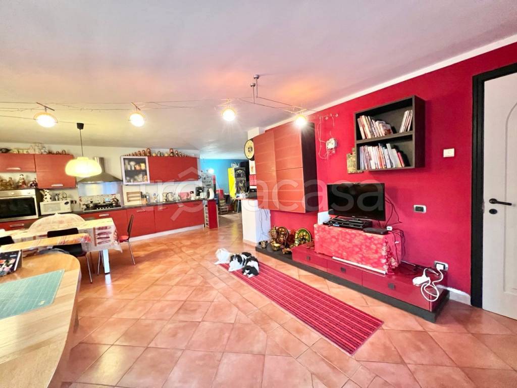 immagine annuncio 11 di 15