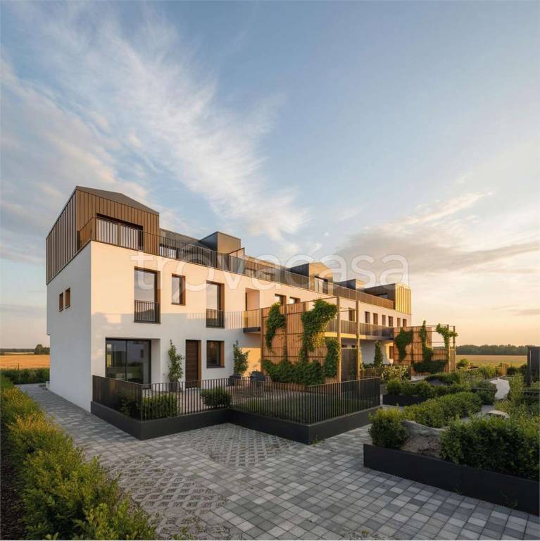 immagine annuncio 6 di 7