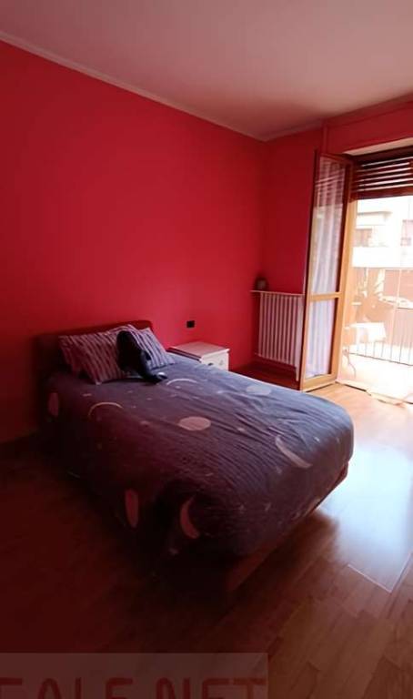 immagine annuncio 7 di 11