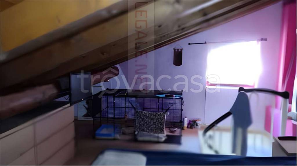 immagine annuncio 7 di 8