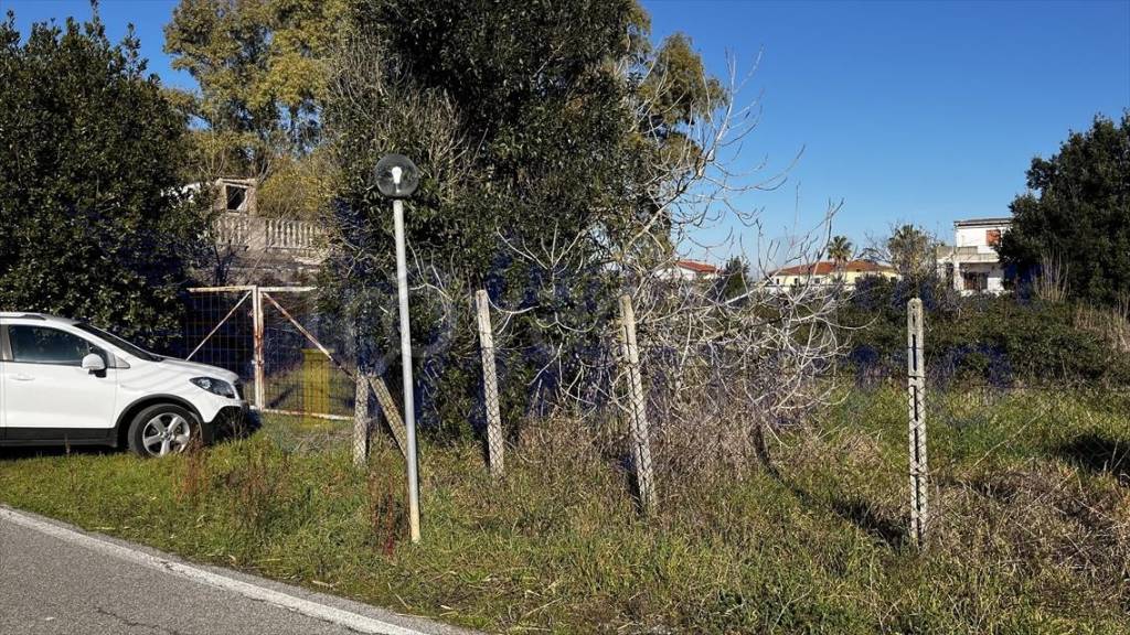 immagine annuncio 4 di 10