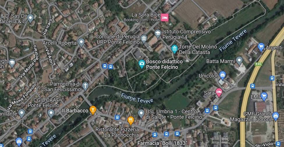 immagine annuncio 11 di 15