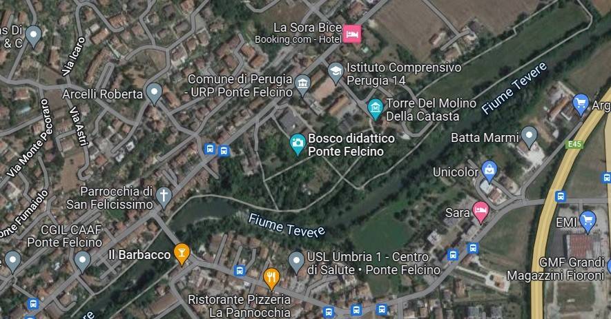 immagine annuncio 12 di 15