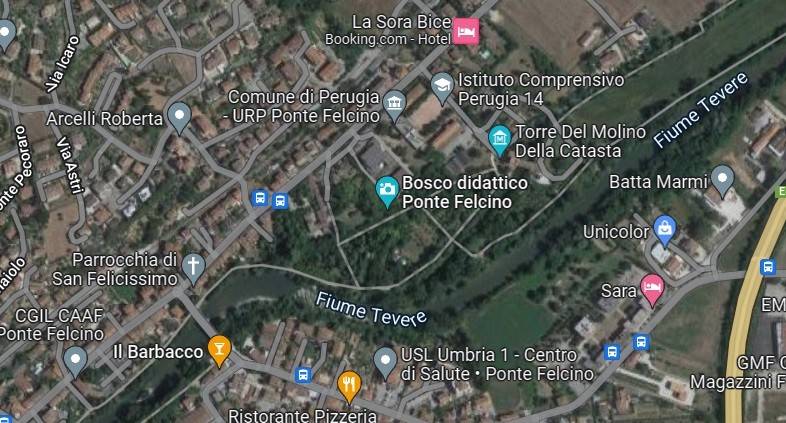 immagine annuncio 13 di 15