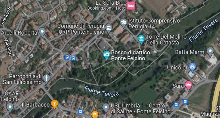 immagine annuncio 14 di 15