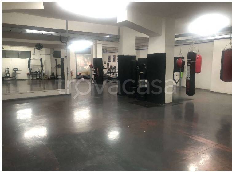 immagine annuncio 7 di 15