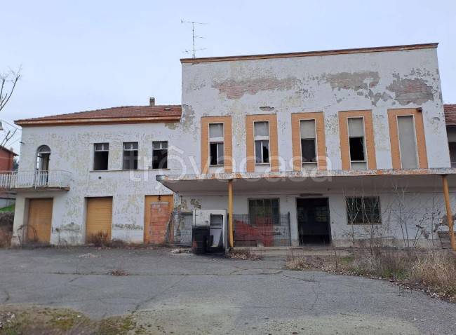 immagine annuncio 3 di 11