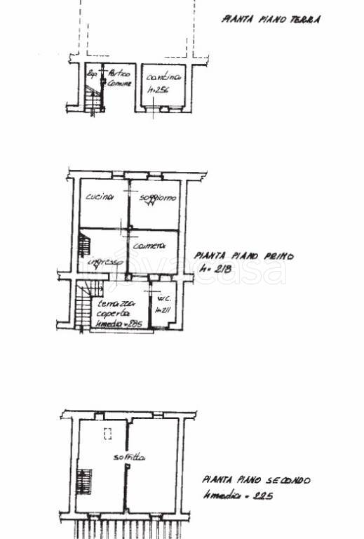immagine annuncio 9 di 10