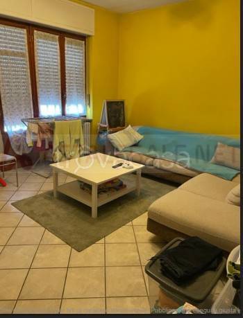 immagine annuncio 3 di 7