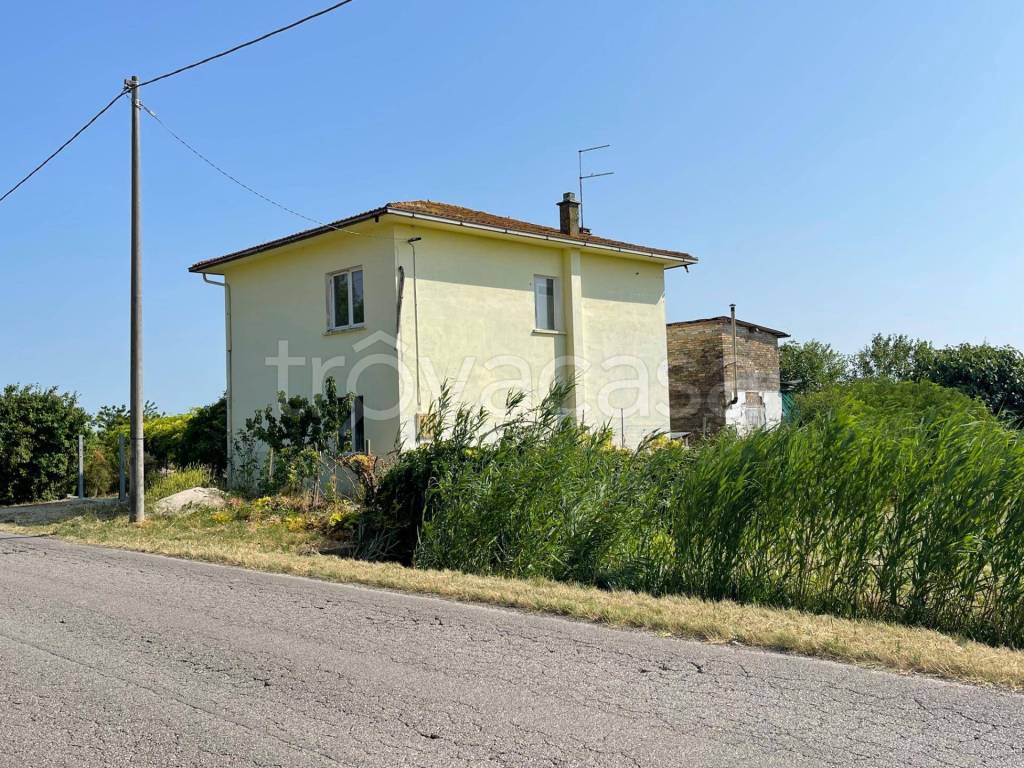 immagine annuncio 3 di 14