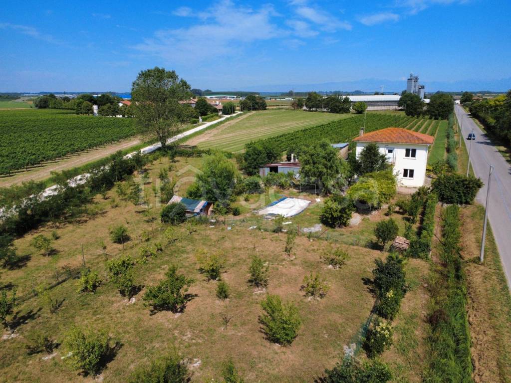 immagine annuncio 12 di 14