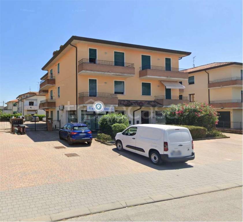 immagine annuncio 6 di 12