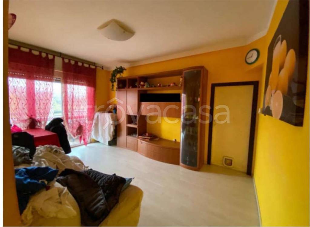 immagine annuncio 7 di 14