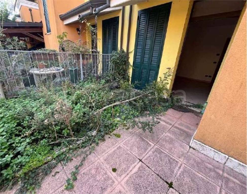 immagine annuncio 5 di 15