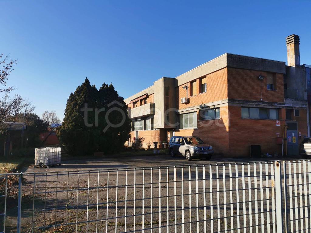 immagine annuncio 1 di 12