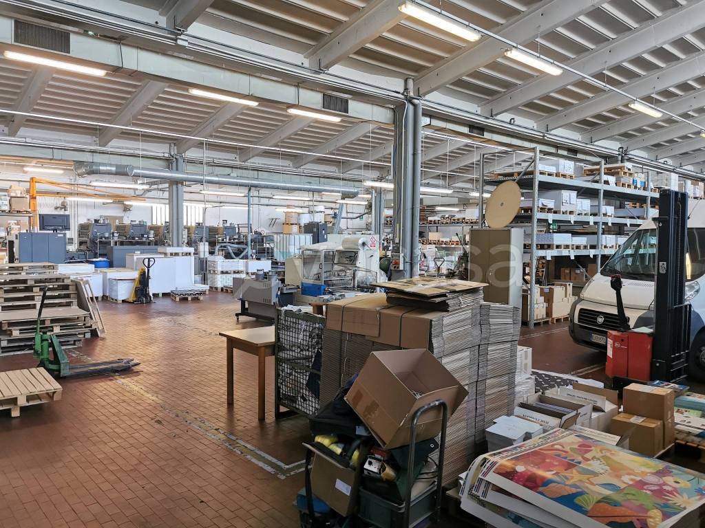 immagine annuncio 3 di 12