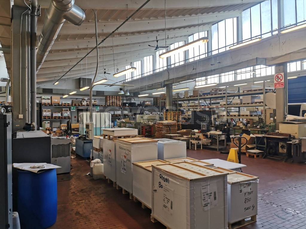 immagine annuncio 5 di 12