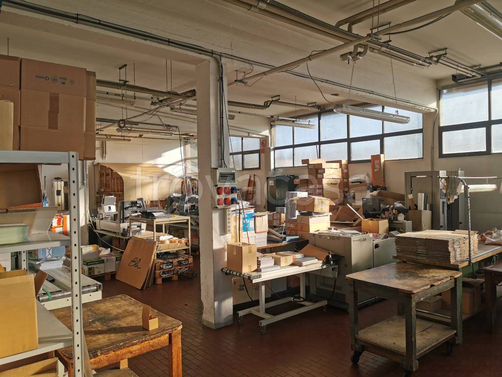 immagine annuncio 6 di 12