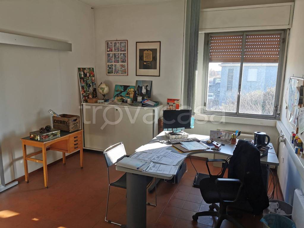 immagine annuncio 9 di 12