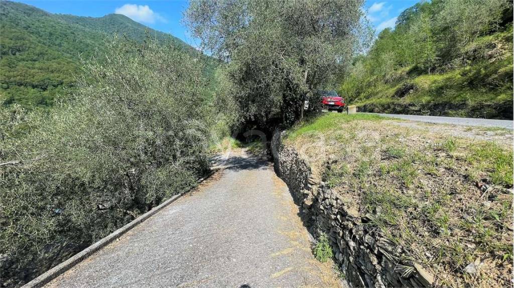 immagine annuncio 4 di 12